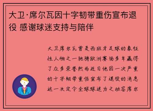 大卫·席尔瓦因十字韧带重伤宣布退役 感谢球迷支持与陪伴