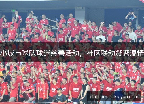 小城市球队球迷慈善活动,社区联动凝聚温情 小城市球队球迷慈善活动,社区联动凝聚温情